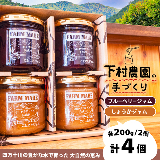 ブルーベリー ジャム しょうが ジャム 200g 4個 【 ジャム 】