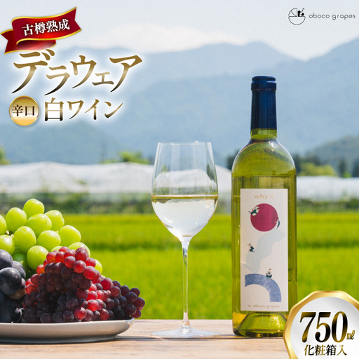 ワイン 白 why'n デラウェア 2025 750mL 1本