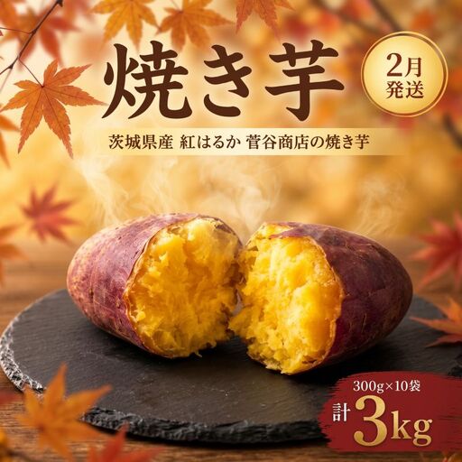 焼き芋 常温 2月発送 3kg 茨城県鉾田市 菅谷商店 やきいも 【 小分け 紅はるか サツマイモ 】 焼き芋