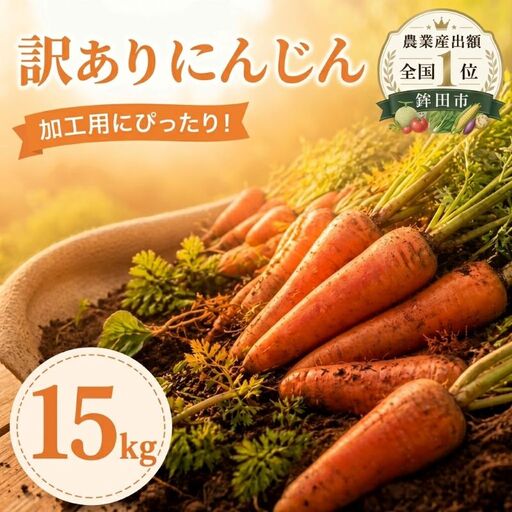 訳あり にんじん 約15kg  加工用 にんじん【12月中旬?2月発送】