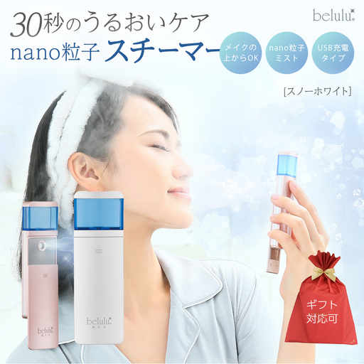 [ギフト対応可]美ルル モイスミスト(スノーホワイト) モイスミスト ハンディミスト ナノ超微粒子 化粧水対応