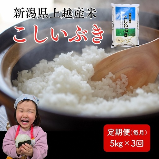 令和8年産 先行予約 新潟県 上越市産米 こしいぶき 定期便 5kg×3回 計15kg 3か月 新米 精米 米ヴィレッジさんわ 上越市三和区