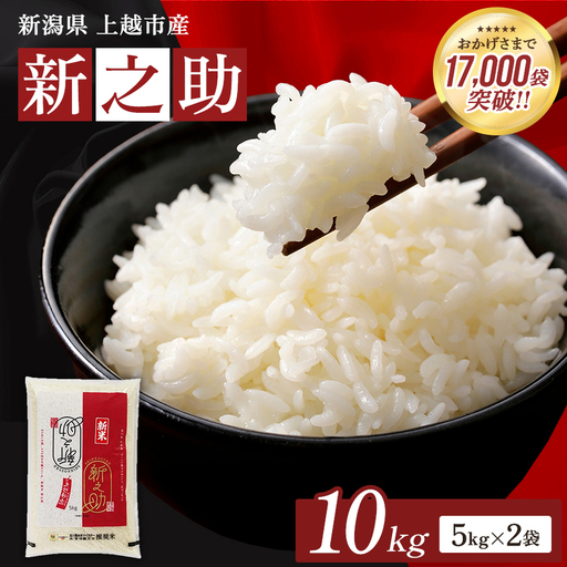 【11月上旬配送】令和8年産 新之助 無洗米 上越産 10kg 精米 新之助