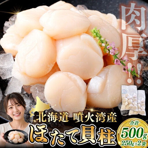 【 14営業日以内発送 】 北海道産 ホタテ 貝柱 500g （ 250g × 2パック ） 魚介類 海鮮 海産物 生食用 肉厚 お刺身 海鮮丼 バター醤油焼き フライ 国産 鮮度抜群 おつまみ おかず 晩酌 酒の肴 冷凍