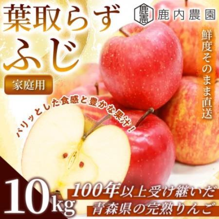 【甘くてみずみずしい】 りんご 「葉取らずふじ」家庭用 約10kg (約32～40個) 青森市 産地【配送不可地域：離島】【1785151】