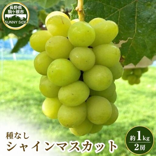 信州駒ヶ根産 シャインマスカット 約1kg(2房) ぶどう 果物 フルーツ お取り寄せ グルメ 長野県