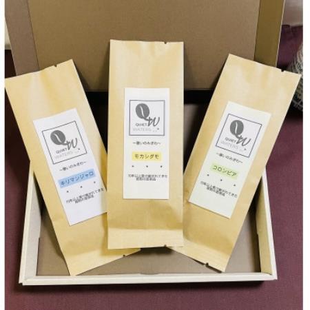コーヒーアソートセット　100g × 3種類(豆)キリマンジャロ、コロンビア、モカシダモ【1783226】