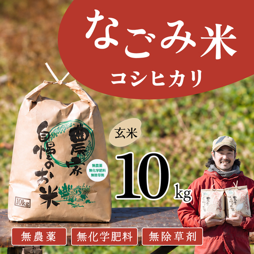 【10月発送】茨城県下妻市産 なごみ米 （ コシヒカリ ） 玄米 10kg 【 お米 コシヒカリ 米 無農薬 無化学肥料 無除草剤 玄米 ブランド米 茨城県産 】