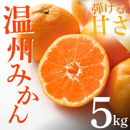 温州みかん 5kg 【 温州みかん 】