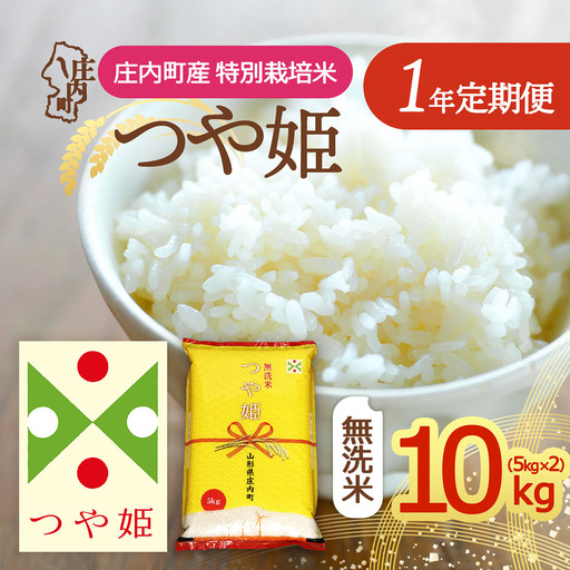【定期便】＜令和8年産/9年産＞つや姫 無洗米 10kg×1年間 毎月お届け 特別栽培米 山形県庄内町産 庄内米 ブランド米 米 コシヒカリの原点、亀の尾発祥の地 お米の定期便 ごはん 粘り 甘み 香り 粒が大きい【11月下旬発送】