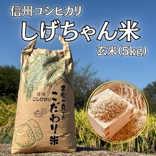【令和8年産・玄米5kg】長野県産コシヒカリ 「しげちゃん米」（北海道・沖縄県・離島は配送不可） こしひかり 新米　2026年産 産地直送 信州 佐久市 旬彩