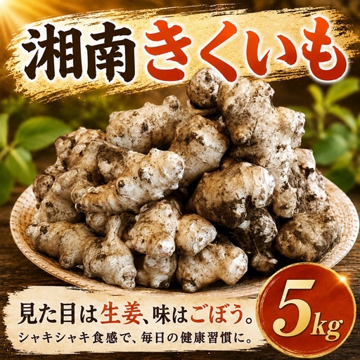 菊芋 5kg 生 11月発送 【湘南きくいも】