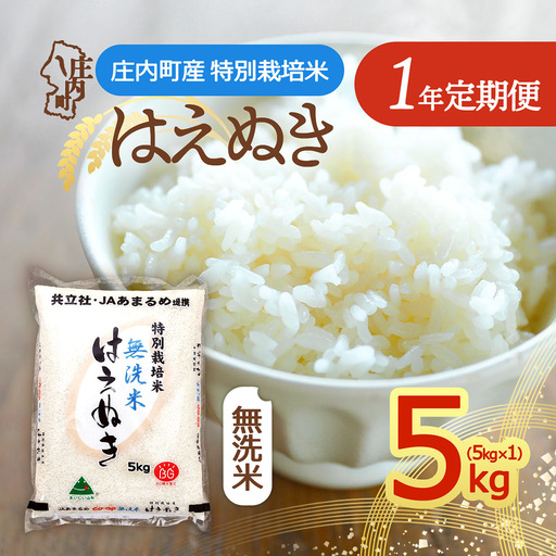 【定期便】＜令和8年産/9年産＞はえぬき 無洗米 5kg×1年間 毎月お届け 特別栽培米 山形県庄内町産 庄内米 ブランド米 米 コシヒカリの原点、亀の尾発祥の地 お米の定期便 甘み 粘り バランスの良い ごはん 家庭用【11月中旬発送】