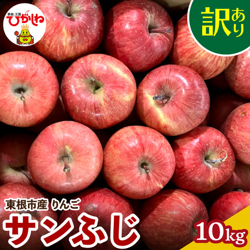 2026年産 りんご サンふじ 訳あり 10kg 茶箱 りんご