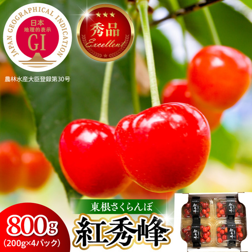 2027年産 GI 東根 さくらんぼ 紅秀峰 800g さくらんぼ