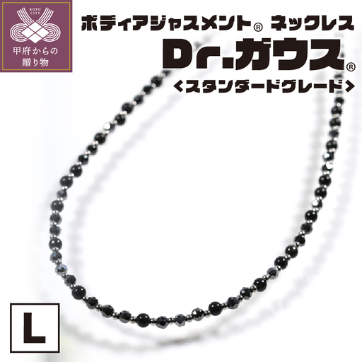 Dr.ガウス スタンダードグレード　Lサイズ