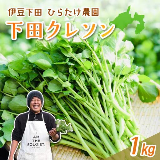 クレソン 下田クレソン 1kg 野菜 国産 葉 ハーブ サラダ 葉物野菜 静岡県 伊豆 下田市