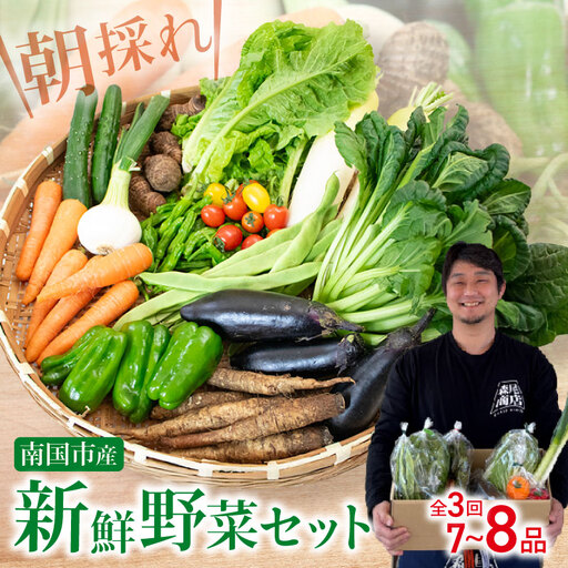 【3回定期便】 朝採れ新鮮！ 野菜セット(7～8品) | 定期便 野菜 セット