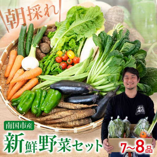 朝採れ新鮮！ 野菜セット(7～8品) | 野菜 セット