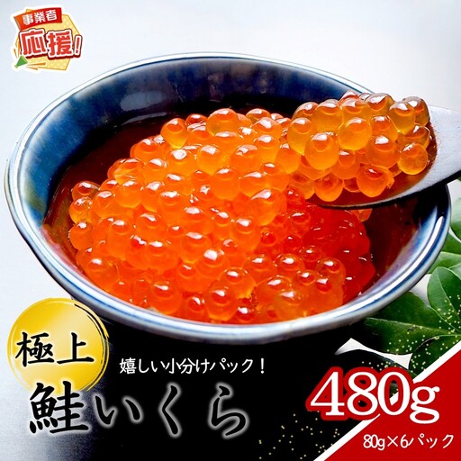 いくらの醤油漬け 小分けパック 480g【ふるさと納税3.0】【087B-108】
