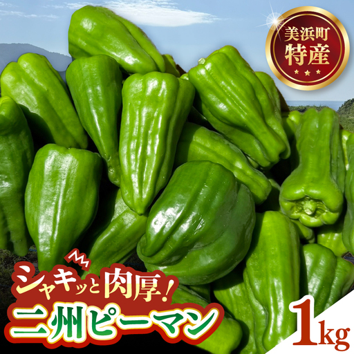 美浜町特産 二州ピーマン 1kg 新鮮 ピーマン 野菜 [m84-a003]