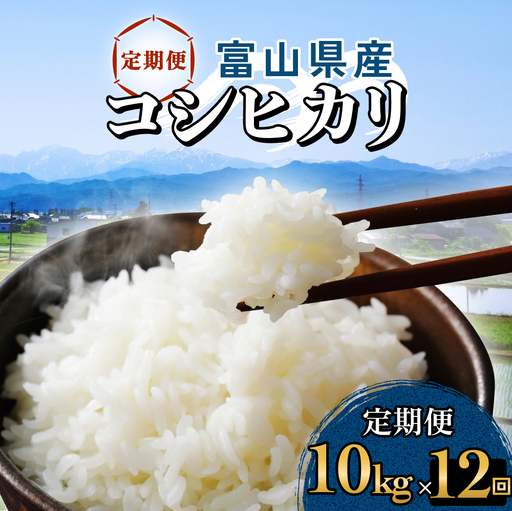 【12回定期便】富山県産 コシヒカリ 10kg 富山県 氷見市 米 コシヒカリ 定期便