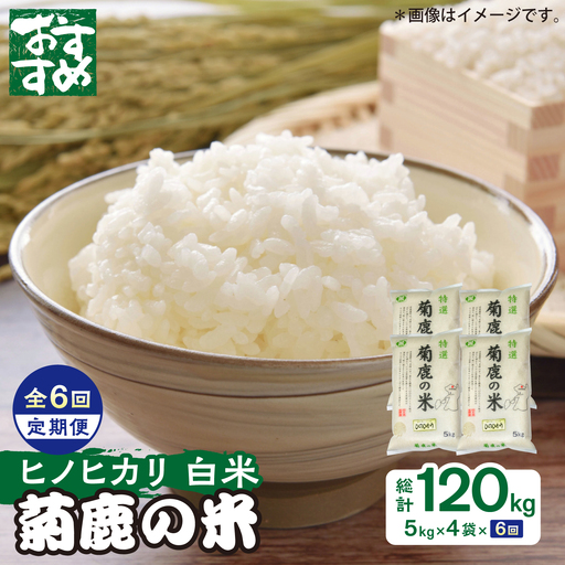 〈令和8年度産米〉【6回定期便】菊鹿の米 ヒノヒカリ 白米 5kg×4袋【有限会社 あそしな米穀】[ZBI055]