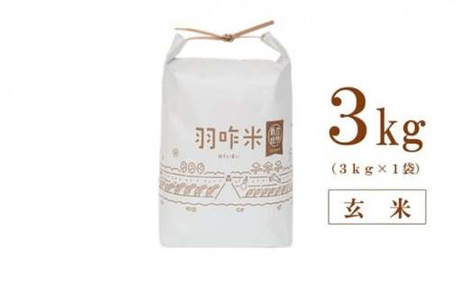 自然栽培米 羽咋米 玄米 3kg(3kg×1) 令和7年産