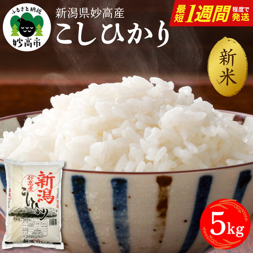 【最短1週間程度発送】令和8年産 新潟県妙高産こしひかり5kg