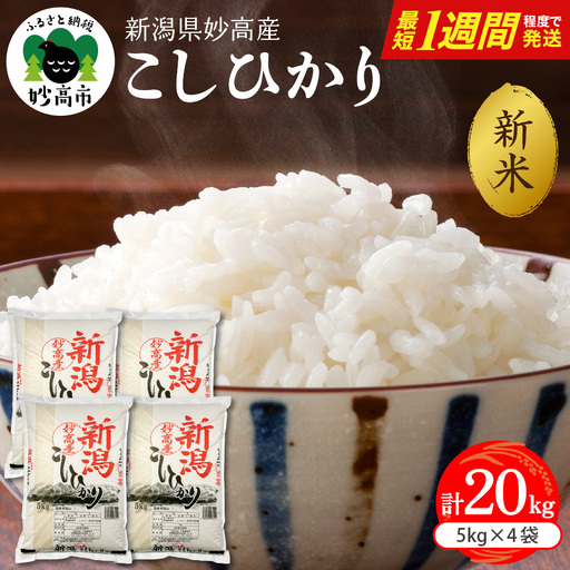 【最短1週間程度発送】令和8年産 新潟県妙高産こしひかり20kg