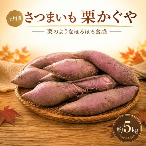 さつまいも 生芋 栗かぐや 約5kg 土付き サツマイモ 【9月?11月発送】