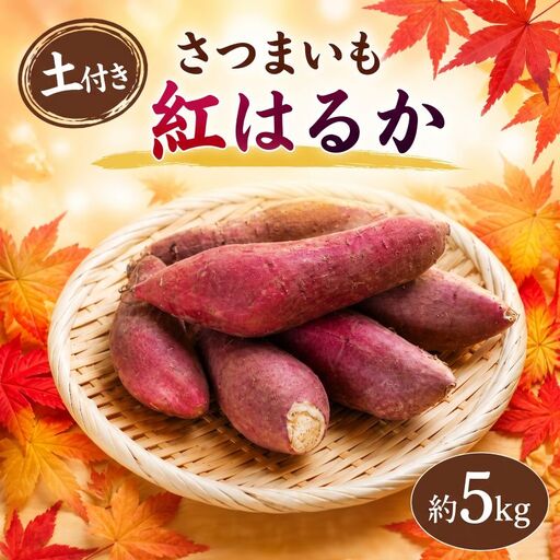 さつまいも 生芋 紅はるか 約5kg 土付き サツマイモ 【9月?11月発送】