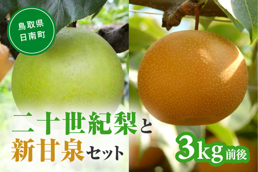 【令和9年産先行予約】二十世紀梨と新甘泉のセット 3kg前後 梨 なし フルーツ 鳥取 高間商店