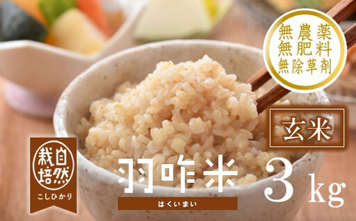 令和8年産 羽咋米 こしひかり 玄米3kg 羽咋米
