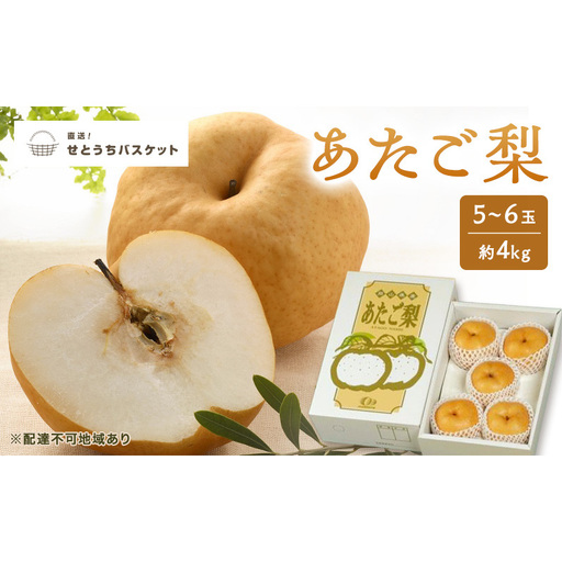 梨 2027年 先行予約 あたご梨 5～6玉 約4kg ナシ なし 岡山県産 国産 フルーツ 果物 直送！せとうちバスケット