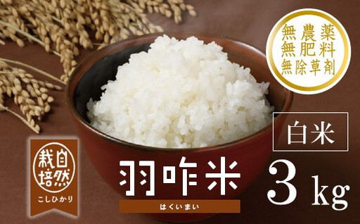 令和8年 羽咋米 コシヒカリ精米3kg×1袋 羽咋米