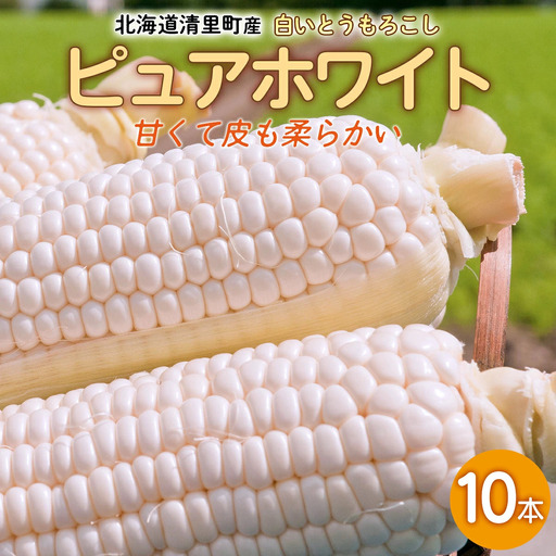 清里町産 白いとうもろこし ピュアホワイト 10本