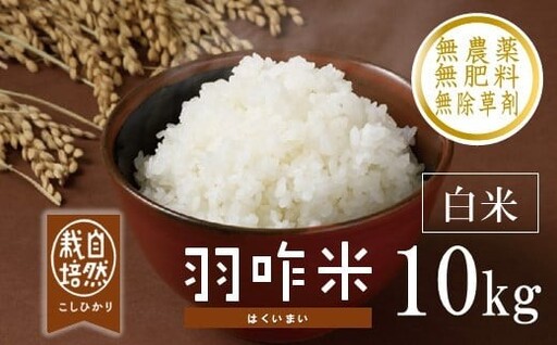 令和8年産 羽咋米 自然栽培 精米 5kg 羽咋米