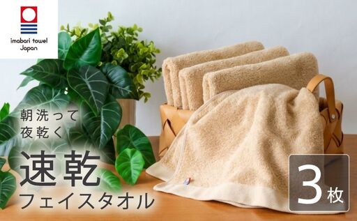 【今治タオル】フェイスタオル 速乾 3枚 キャメル