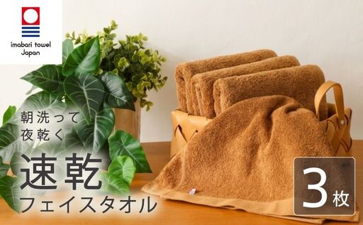【今治タオル】フェイスタオル 速乾 3枚 ブラウン