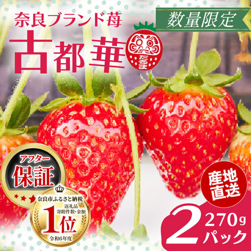 いちご 古都華 サイズ混合 約270g×2パック[4月〜5月発送分][drm009]