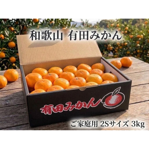 ［ご家庭用・サイズ２Ｓ］和歌山有田産！早生みかん≪3kg≫［予約販売］まる隆果樹園