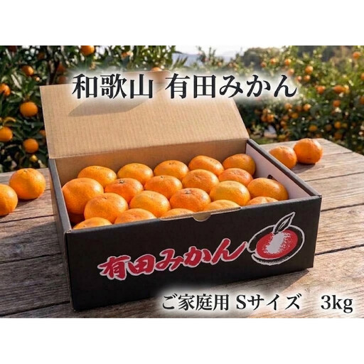 ［ご家庭用・サイズＳ］和歌山有田産！早生みかん≪3kg≫［予約販売］まる隆果樹園　