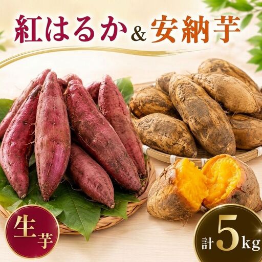 さつまいも 土付き 紅はるか 安納芋 計5kg さつまいも