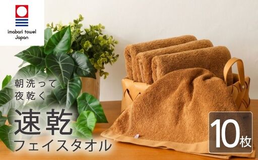 【今治タオル】フェイスタオル 速乾 10枚 ブラウン