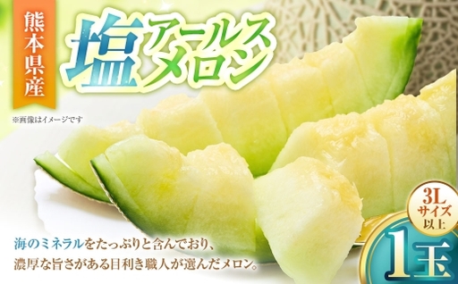 塩アールスメロン （ 1玉 ） メロン 果物 フルーツ 果実 果汁 果肉 ミネラル 濃厚 ケーキ ゼリー ジュース フルーツサンド 熊本県産 国産 【 2027年5月上旬から6月上旬発送予定 】