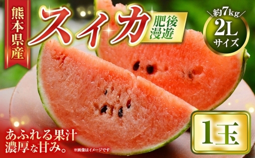 スイカ 肥後漫遊 （ 1玉 ） 2Lサイズ 果物 フルーツ 果実 果汁 果肉 甘み 贈り物 プレゼント 贈答用 熊本県産 国産 【 2027年5月上旬から7月下旬発送予定 】