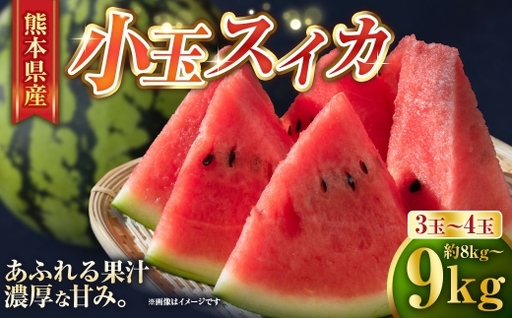 小玉スイカ （ 3 ～ 4玉 ） 果物 フルーツ 果実 果汁 果肉 甘み 贈り物 プレゼント 贈答用 熊本県産 国産 【 2027年4月下旬から6月下旬発送予定 】