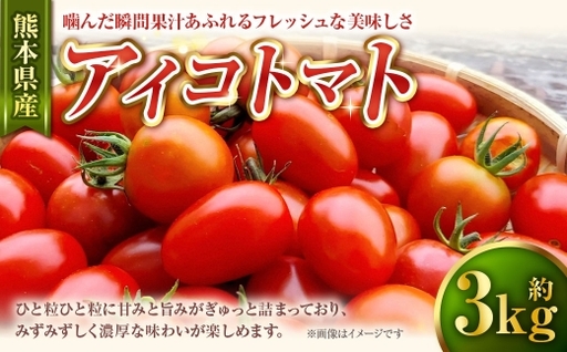 アイコトマト 約3kg トマト 野菜 ミニトマト サラダ お弁当 濃厚 フレッシュ みずみずしい 熊本県産 国産