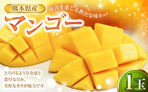 マンゴー 1玉 果物 フルーツ 果実 果汁 果肉 贅沢 ジューシー 南国 プリン ケーキ スムージー 贈り物 プレゼント 贈答用 熊本県産 国産 冷蔵 【 2027年6月下旬から7月上旬発送予定 】